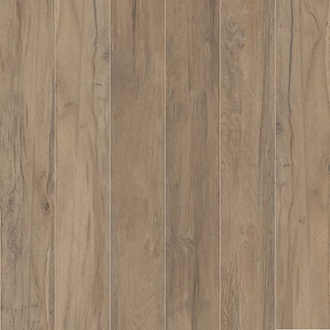 image-907730b2ce7e49359d8ff68735c903ec