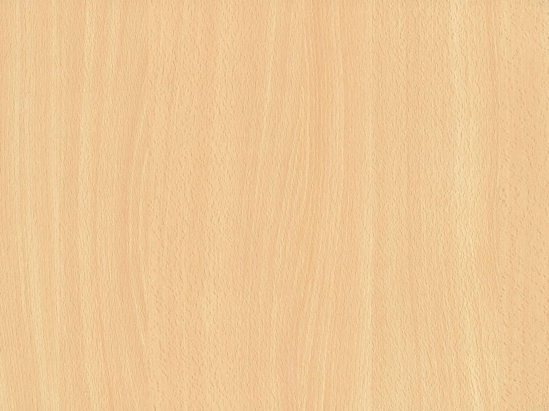 image-55dd9dfbc1914fc6bf0173cf3a9153f4